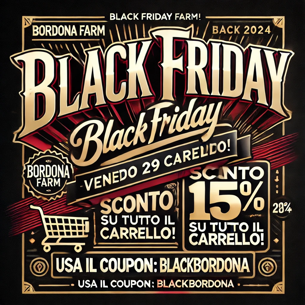 Black Friday 24